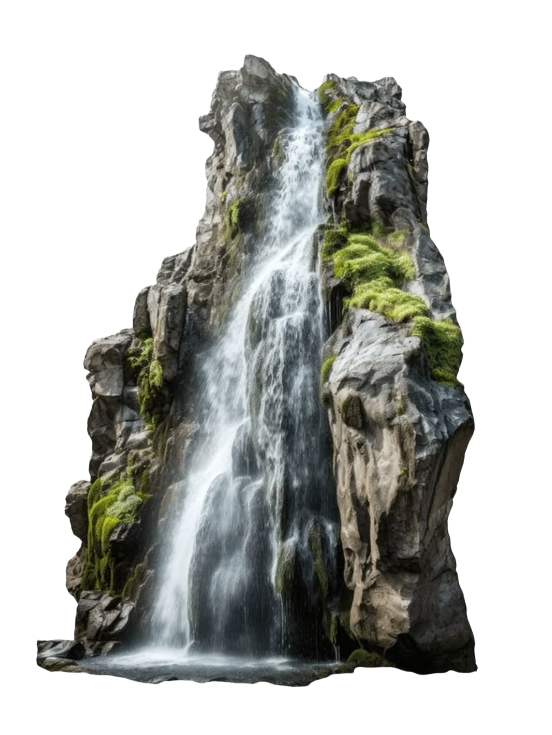 erasebg transformed (73)